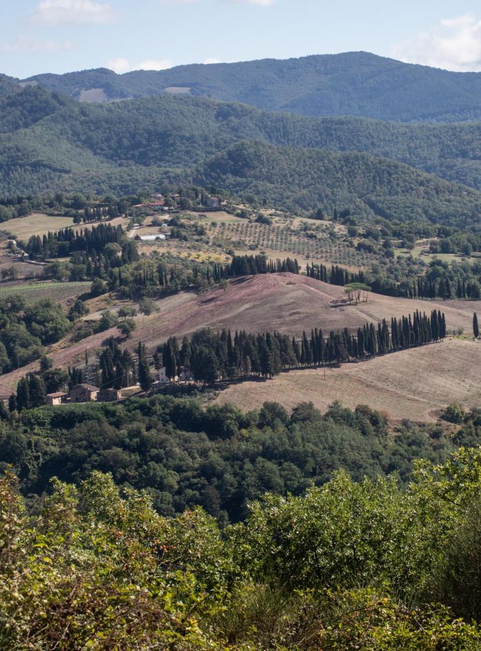 Cooperativa Agricola IL FORTETO