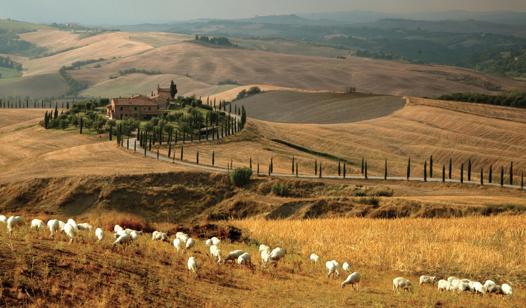 IL FORTETO DEL MUGELLO | Società Agricola Cooperativa