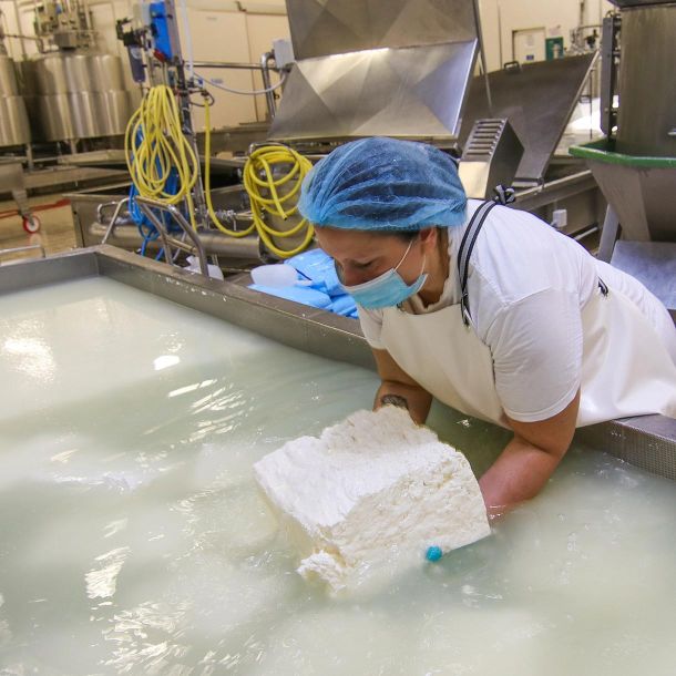 Mozzarella a fermentazione naturale