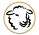 Latte di pecora