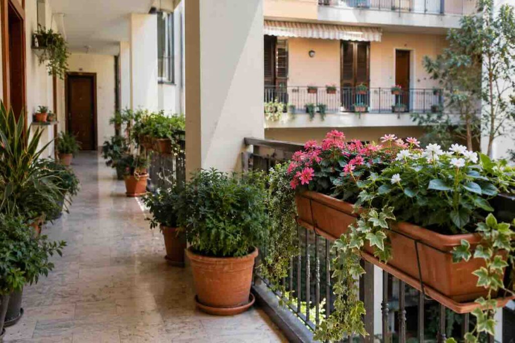 Vasi in condominio